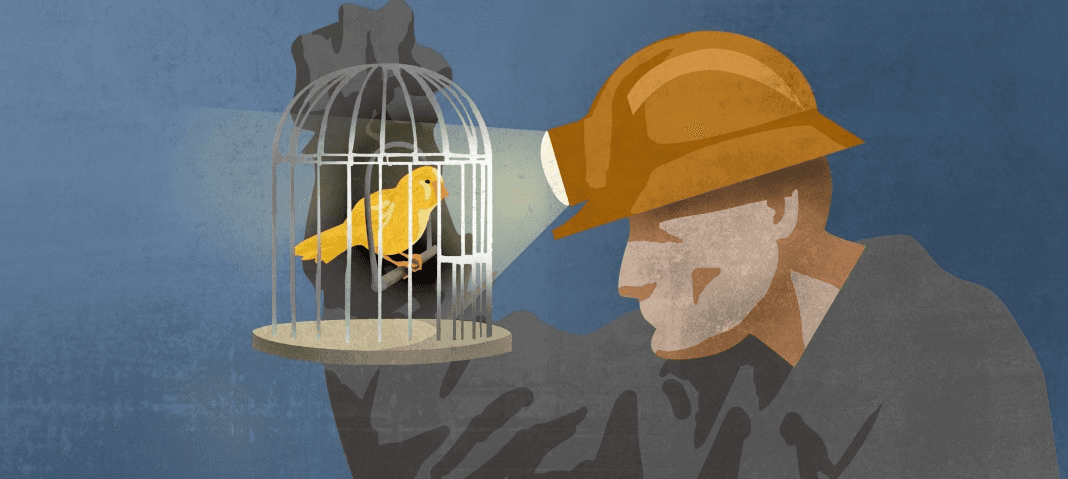 Canary in the coal mine