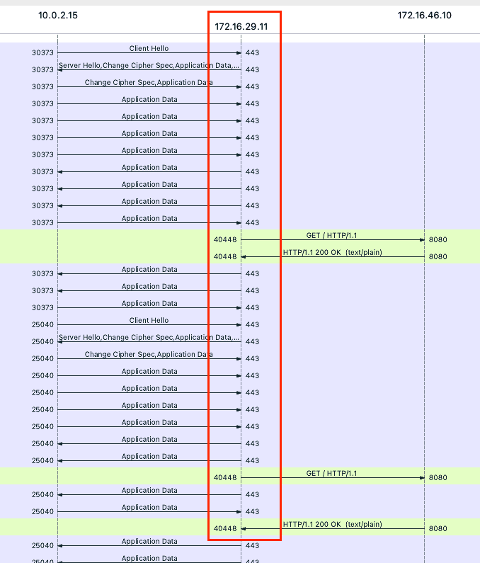 wireshark 필터 tls.record.opaque_type == 23 or http