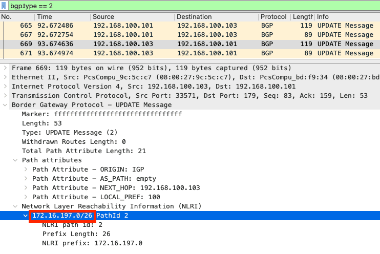 calico-bgp-packet.png