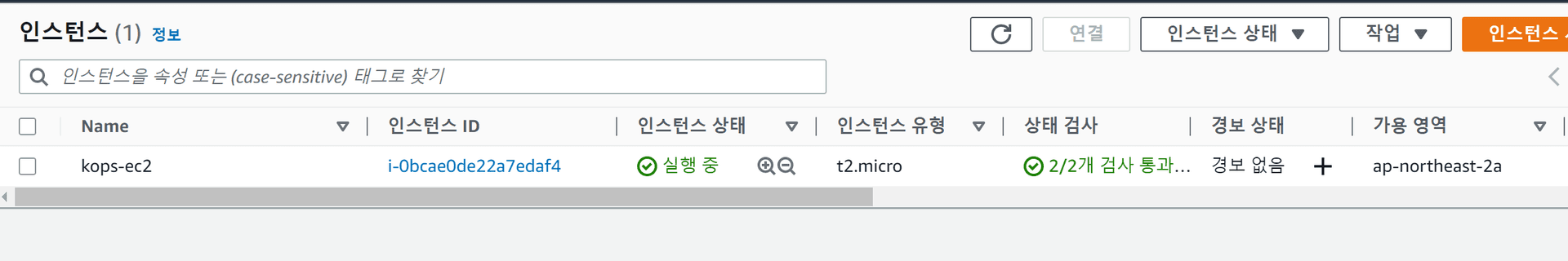 생성이 종료되었으면 인스턴스 콘솔창에 들어가 생성된 KOPS-EC2 정보를 확인한다.